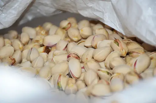 Pistacho al natural (saco 1,5 Kg) 